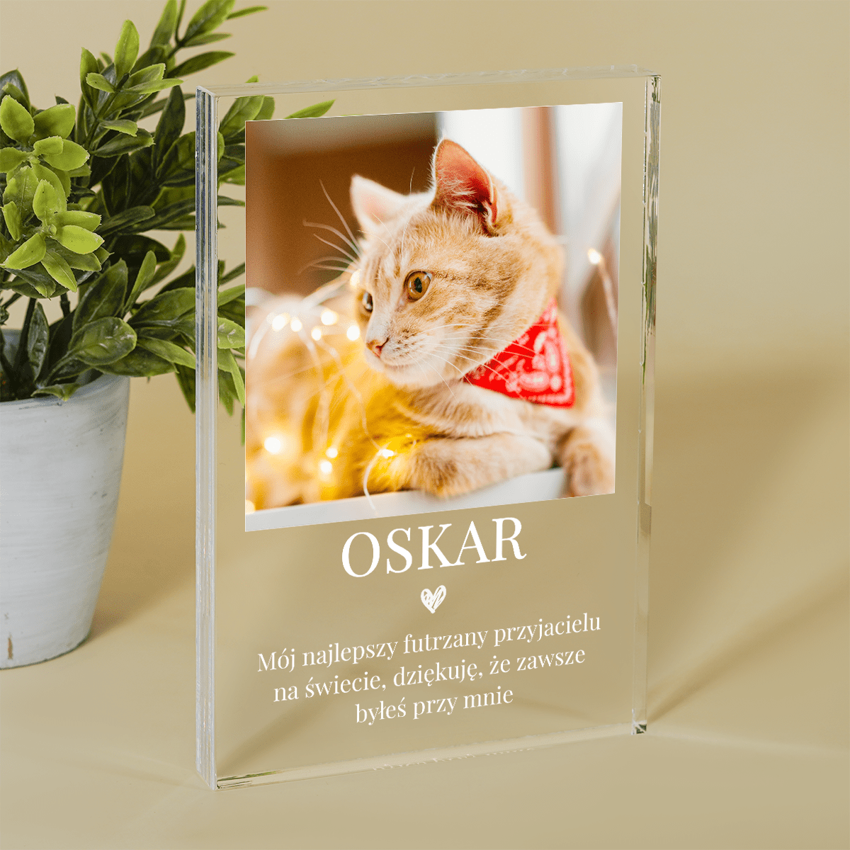 Mój futrzasty przyjaciel - Druk na szkle, spersonalizowany prezent dla miłośnika kotów - Adamell.pl