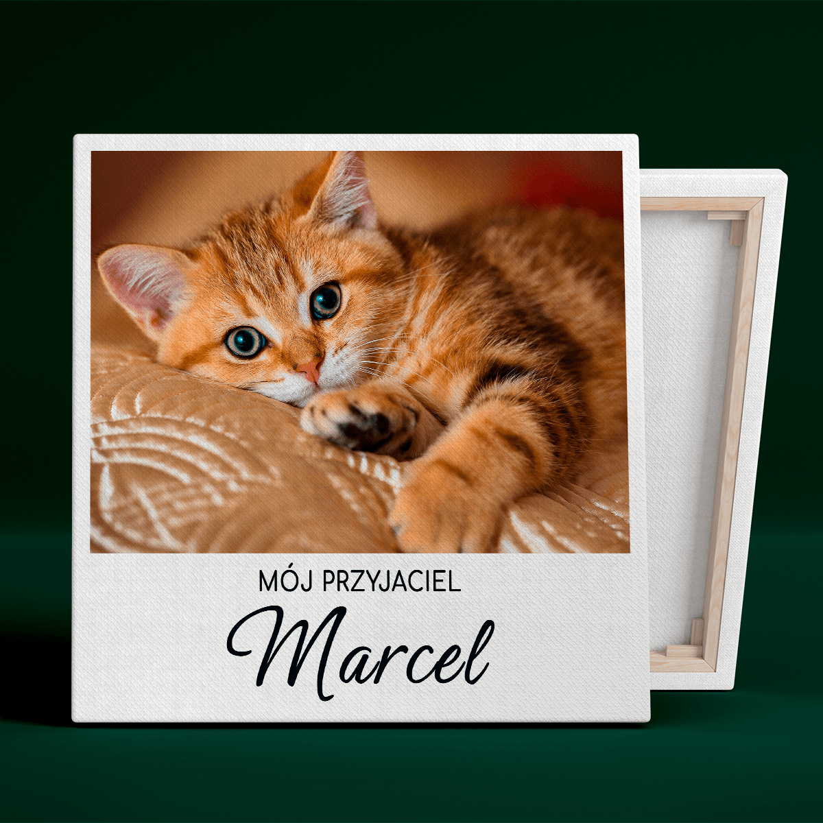 Mój koci przyjaciel - druk na płótnie, spersonalizowany prezent - Adamell.pl
