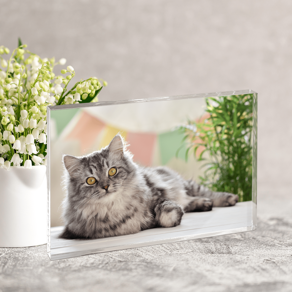 Zdjęcie ukochanego kota - Druk na szkle, spersonalizowany prezent - Adamell.pl