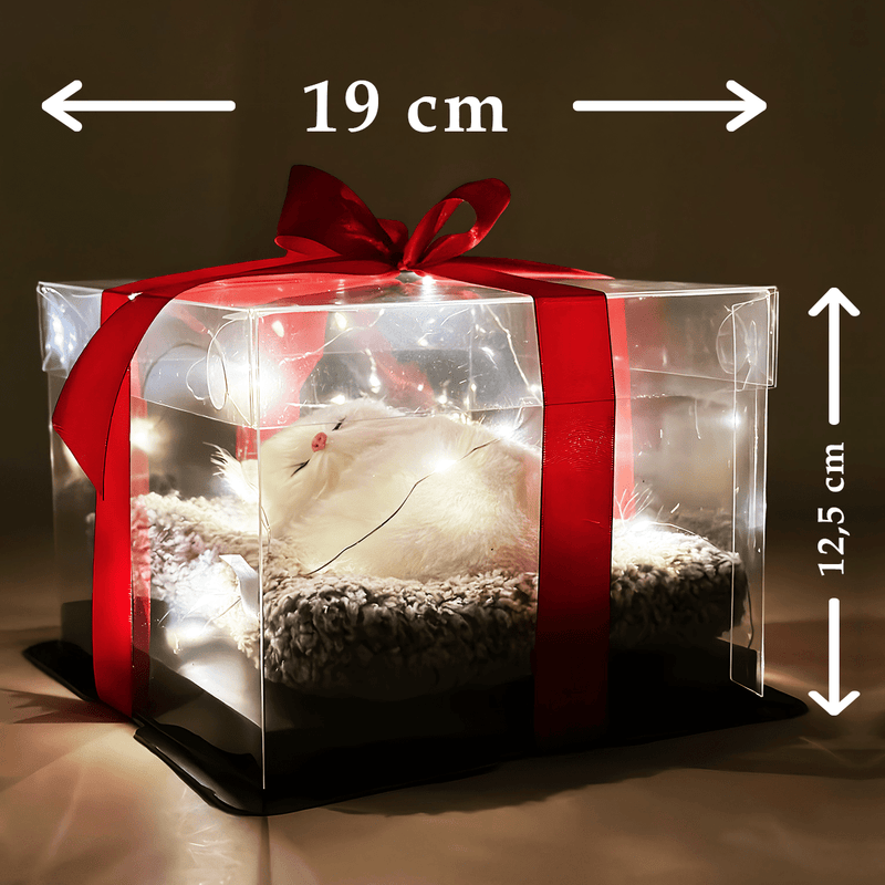 Biały kot na poduszce + LED - kot w pudełku, oryginalny prezent dla niej - Adamell.pl