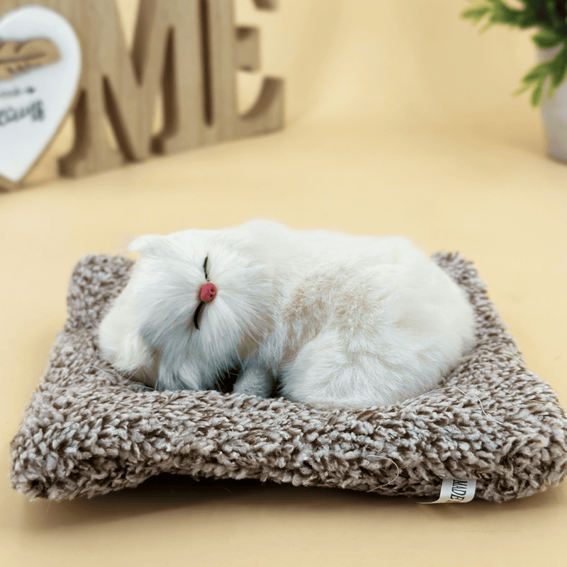 Biały kot na poduszce + LED - kot w pudełku, oryginalny prezent dla niej - Adamell.pl