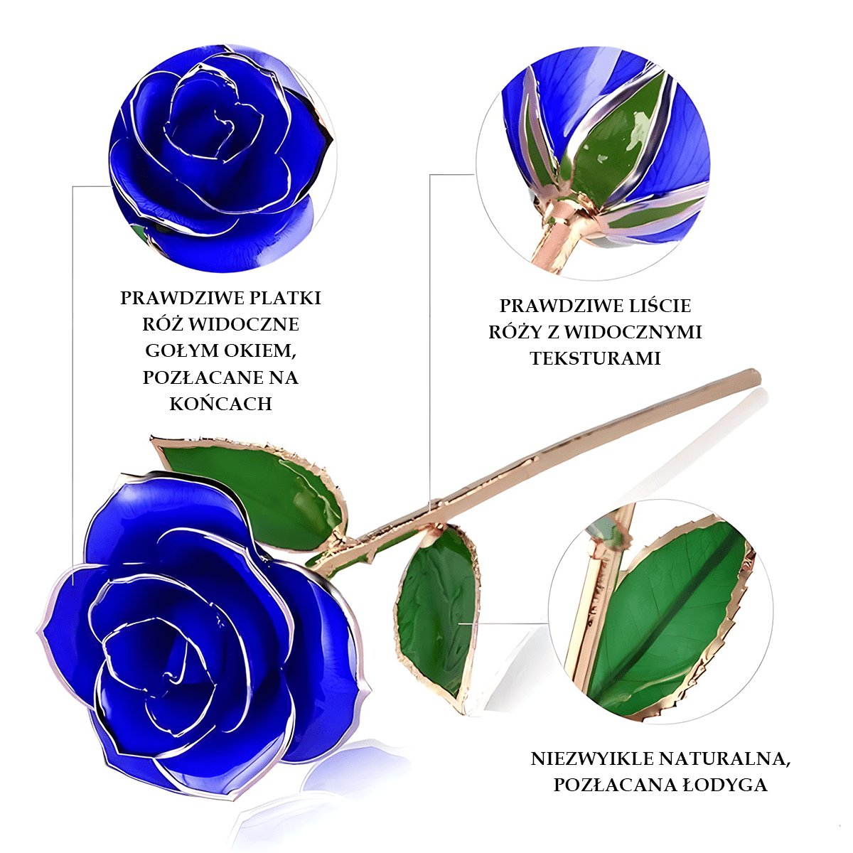Niebieska Wieczna Róża Otulona 24K złotem + GRATISY - Adamell.pl
