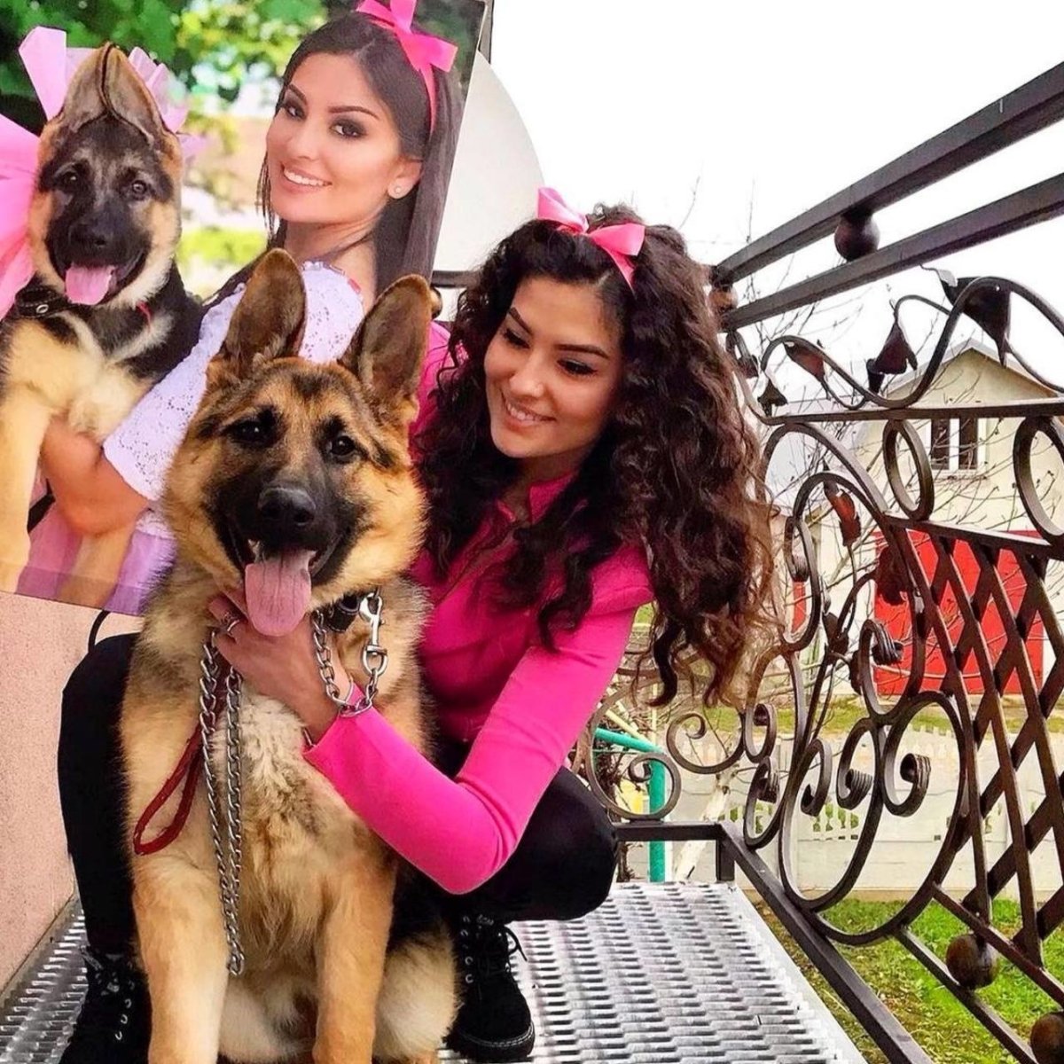 Zdjęcie na płótnie | Prezent dla właściciela psa | Wydruk na płótnie - Adamell.pl - Wyjątkowe Prezenty