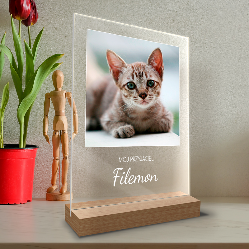 Zdjęcie kota + napis - Druk na szkle, spersonalizowany prezent