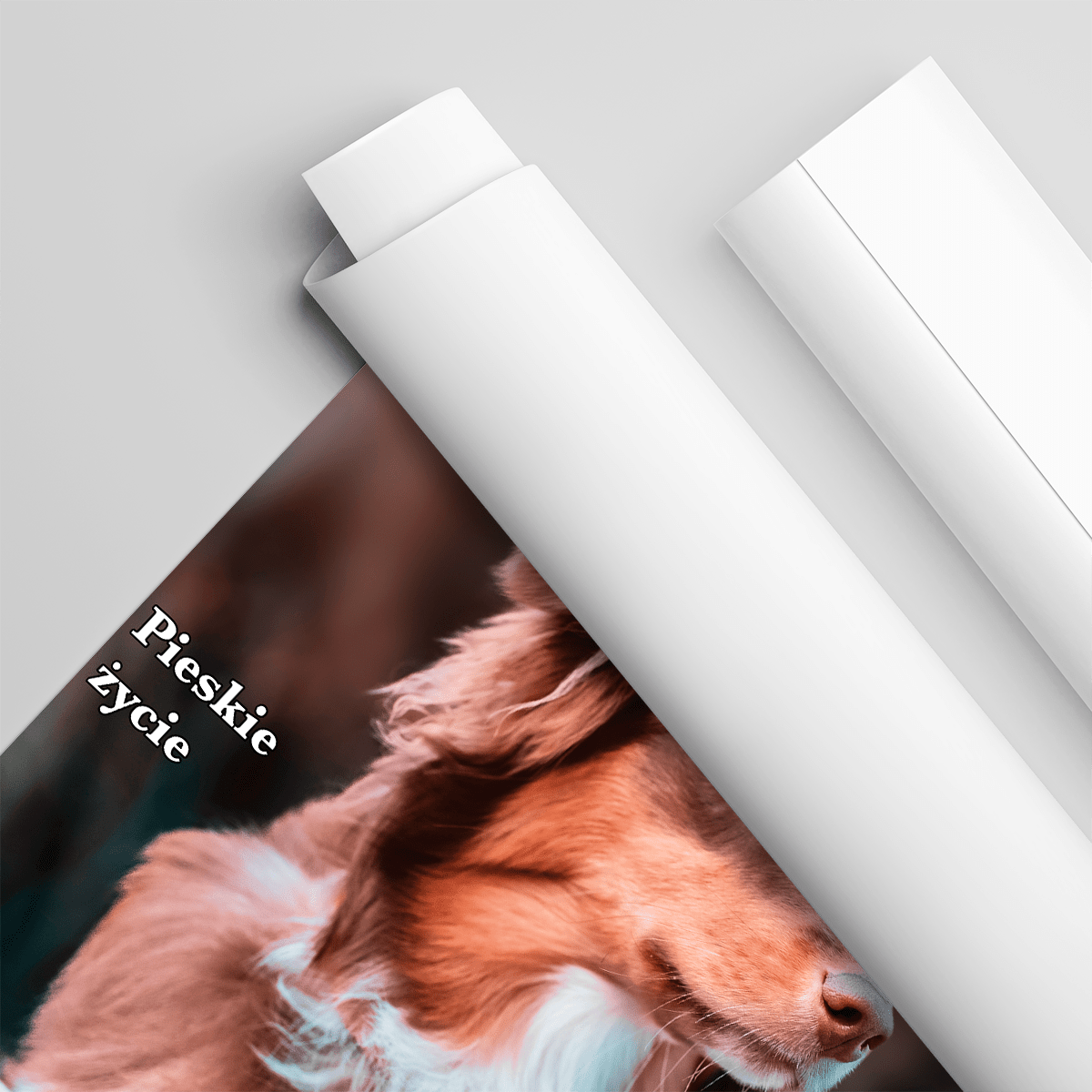 Magazyn Dogbes - plakat, spersonalizowany prezent dla właściciela psa - Adamell.pl