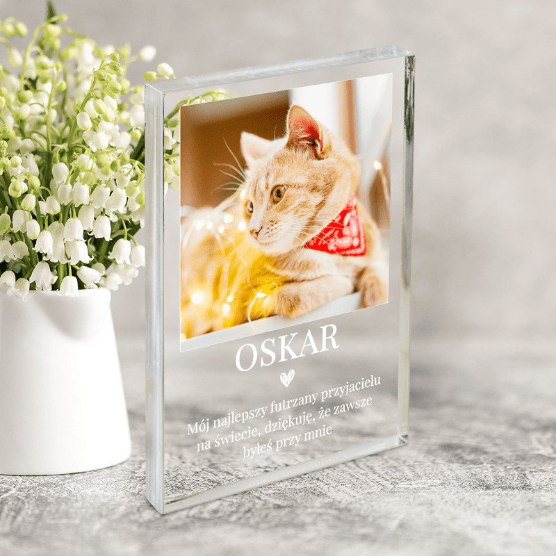 Mój futrzasty przyjaciel - Druk na szkle, spersonalizowany prezent dla miłośnika kotów - Adamell.pl