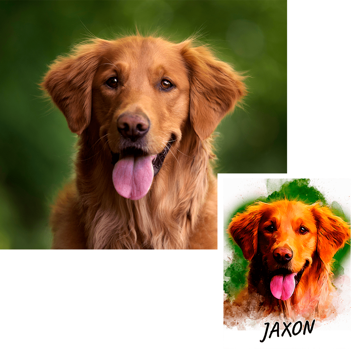 Portret pupila + imię - plakat, spersonalizowany prezent dla właściciela psa - Adamell.pl