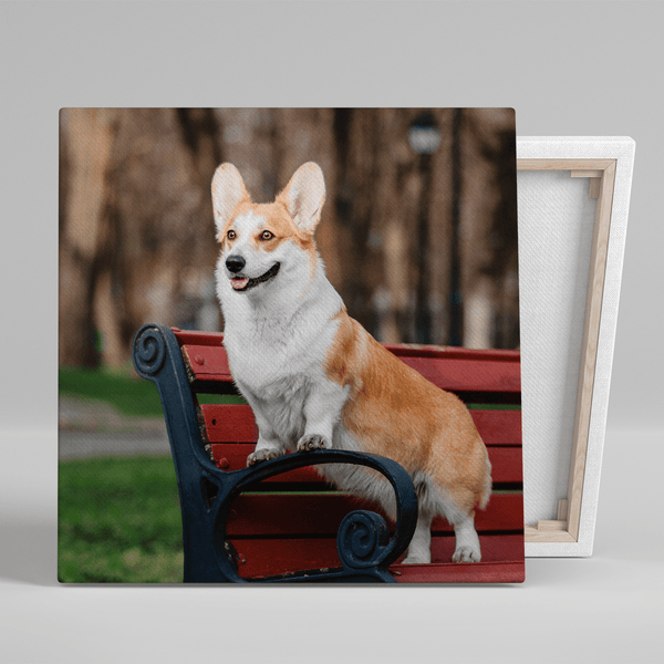 Zdjęcie pieska - druk na płótnie, spersonalizowany prezent dla miłośników psów - Adamell.pl