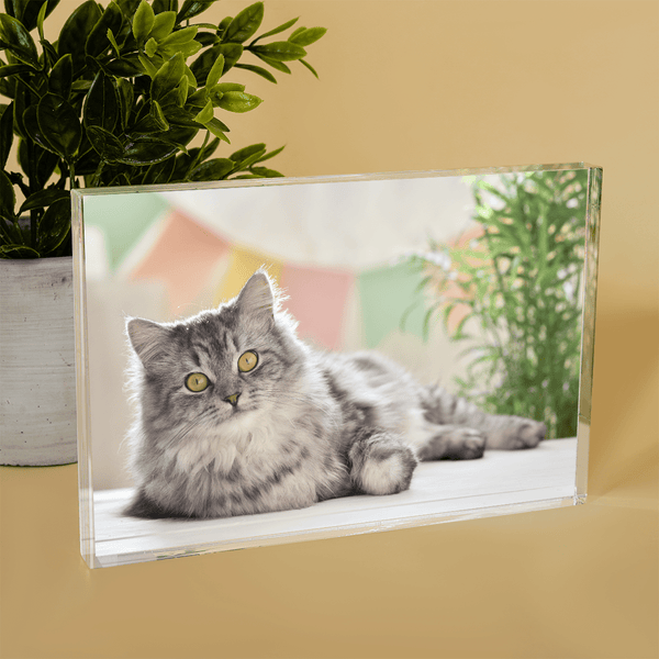Zdjęcie ukochanego kota - Druk na szkle, spersonalizowany prezent - Adamell.pl