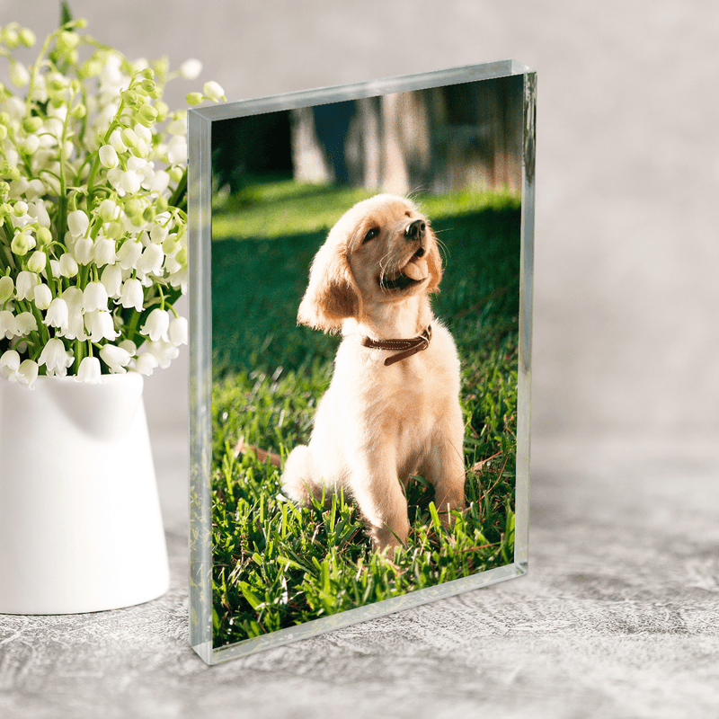 Zdjęcie ukochanego psa - Druk na szkle, spersonalizowany prezent - Adamell.pl