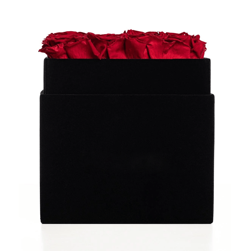 Czarny kwadratowy box welurowy z czerwonymi stabilizowanymi różami - wieczna róża - Adamell.pl - Wyjątkowe Prezenty