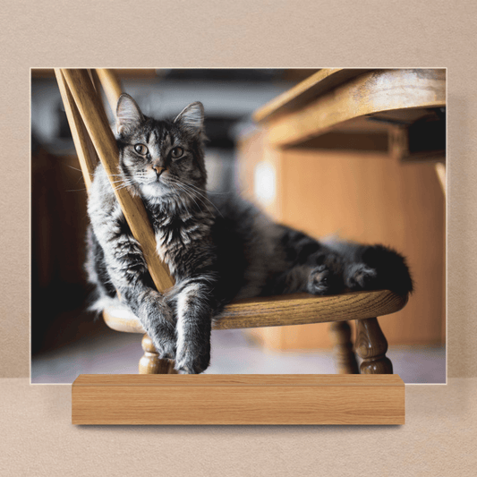 Fotografia pupila - Druk na szkle, spersonalizowany prezent - Adamell.pl - Wyjątkowe Prezenty