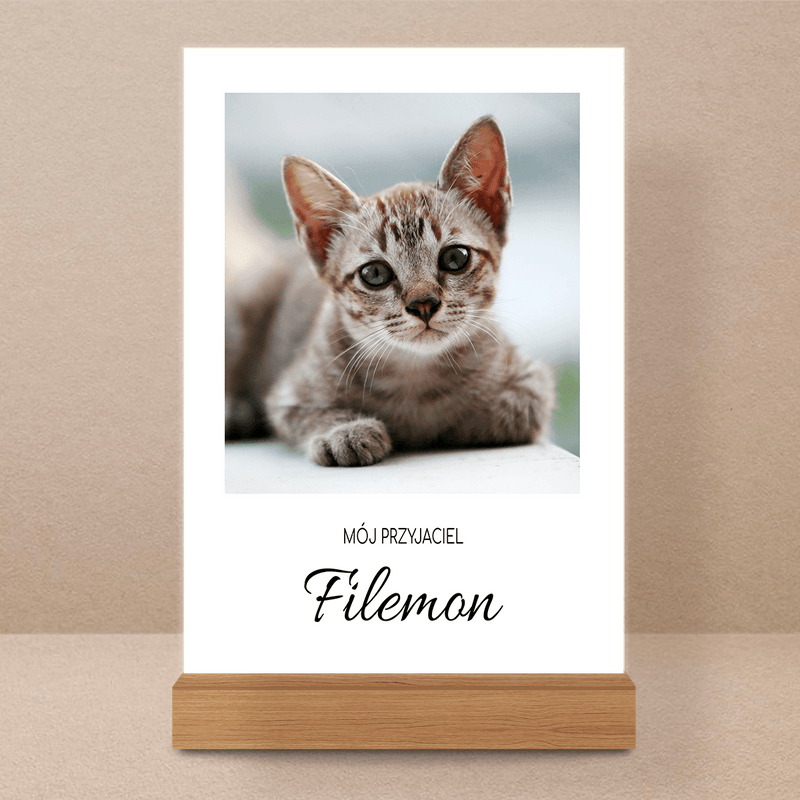 Kot fotografia - Druk na szkle, spersonalizowany prezent dla miłośników kotów - Adamell.pl