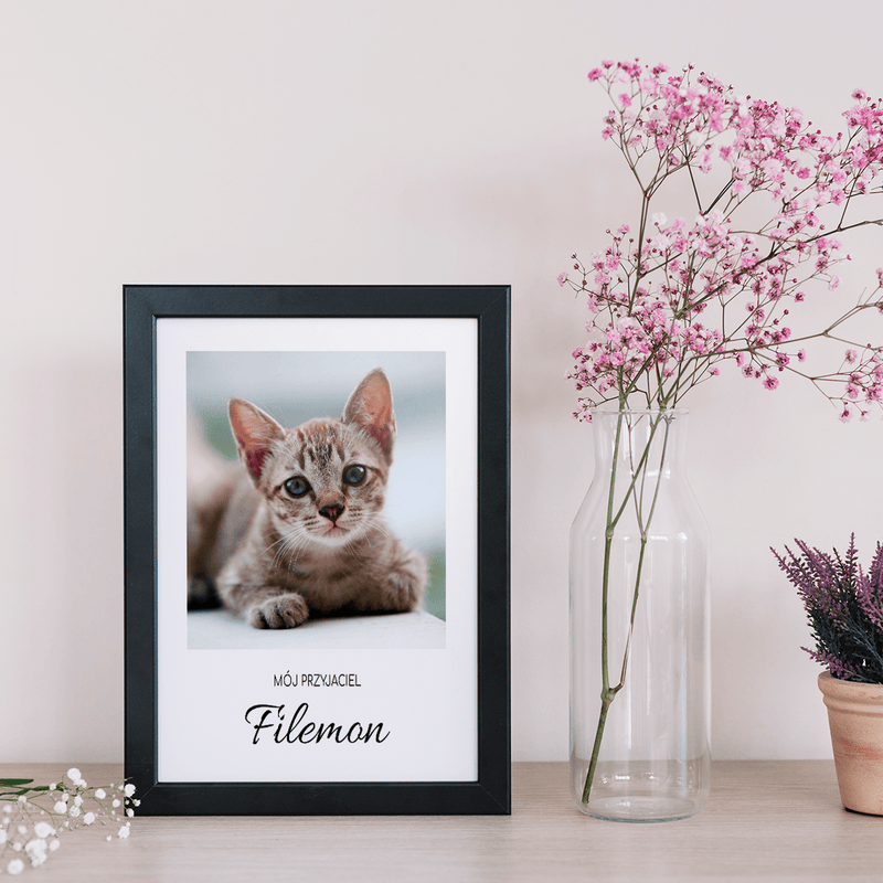 Kot fotografia - Druk na szkle, spersonalizowany prezent dla miłośników kotów - Adamell.pl