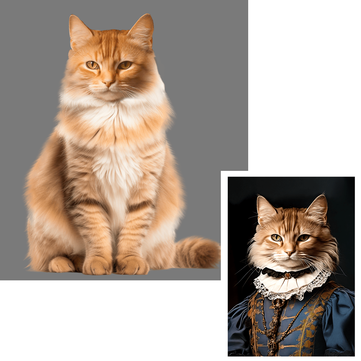 Kot hrabina - druk na płótnie, spersonalizowany prezent dlla właściciela kota - Adamell.pl