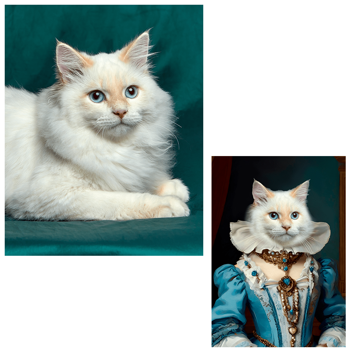 Królewski kot - druk na płótnie, spersonalizowany prezent - Adamell.pl