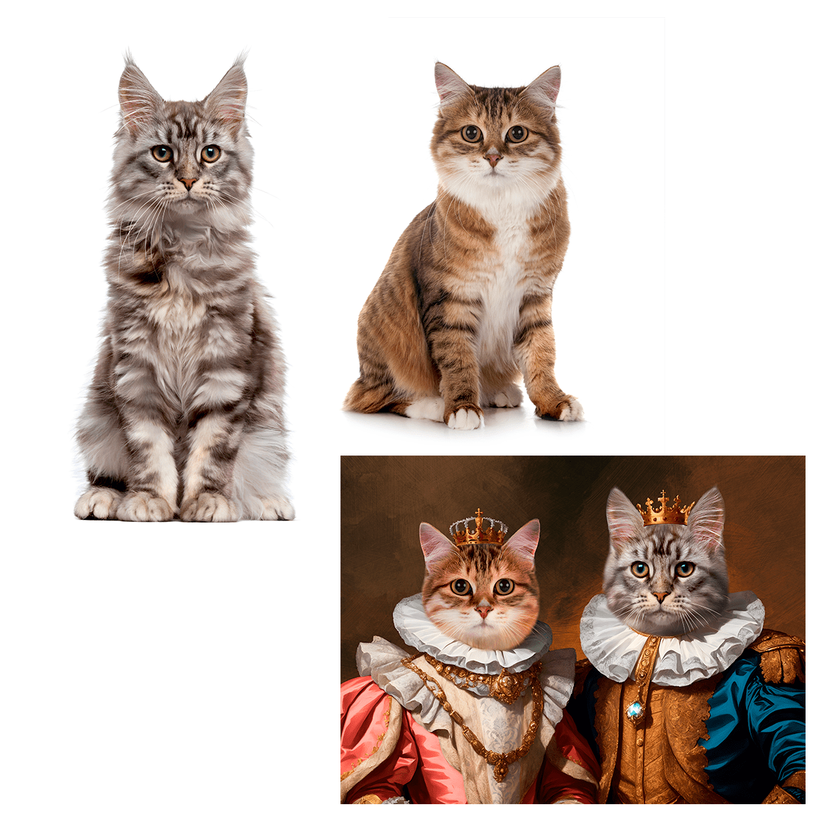 Para królewskich kotów - druk na płótnie, spersonalizowany prezent - Adamell.pl