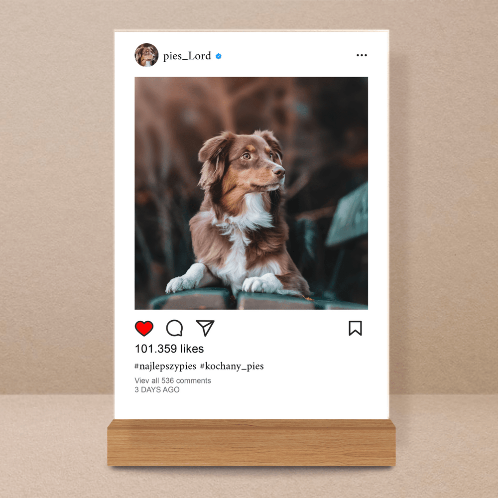 Pies Instagram - Druk na szkle, spersonalizowany prezent - Adamell.pl