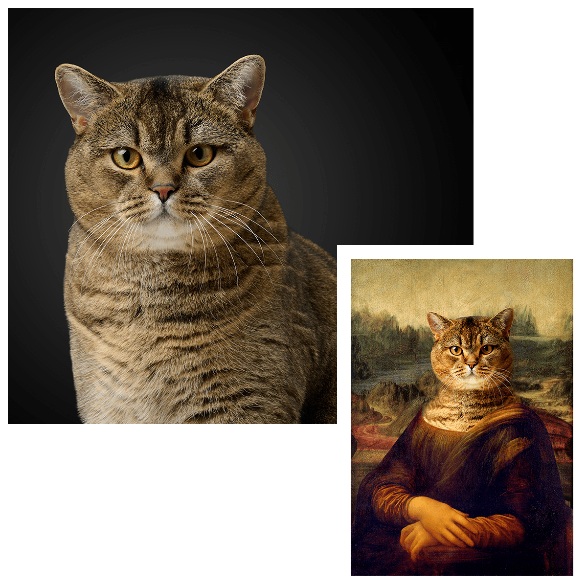 Portret Mona Lisa kot - druk na płótnie, spersonalizowany prezent - Adamell.pl