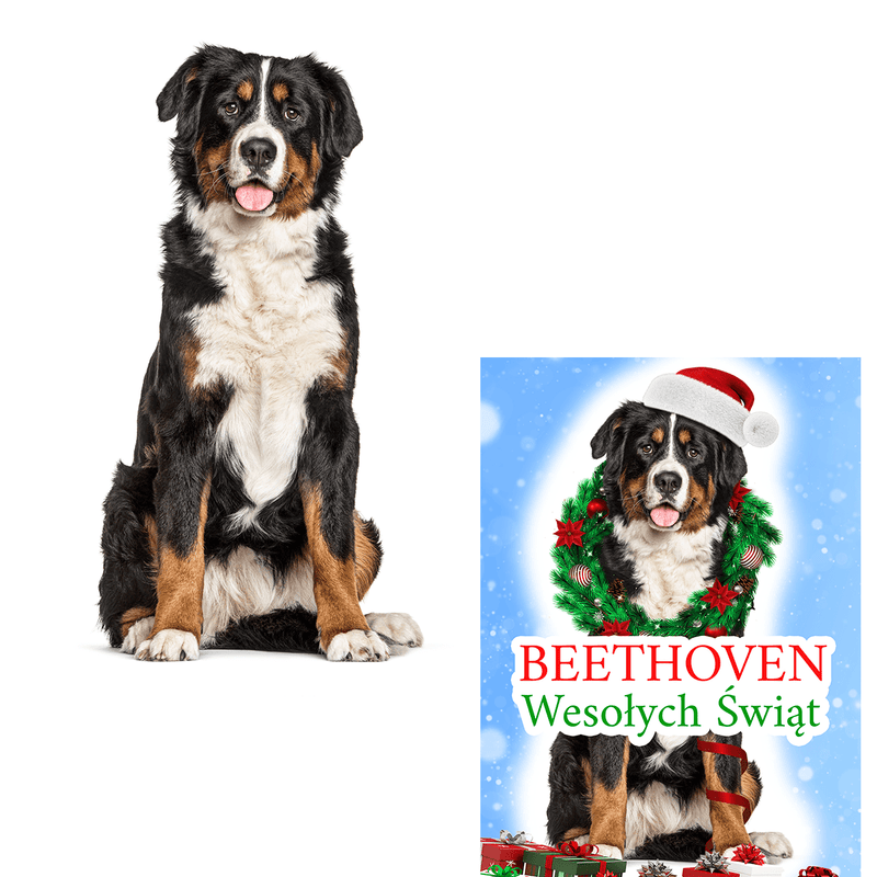Świąteczny plakat z psem - druk na płótnie, spersonalizowany prezent dla właściciela psa - Adamell.pl