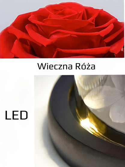 Wieczna Czerwona Róża w szklanej kopule LED + GRATISY - Adamell.pl - Wyjątkowe Prezenty