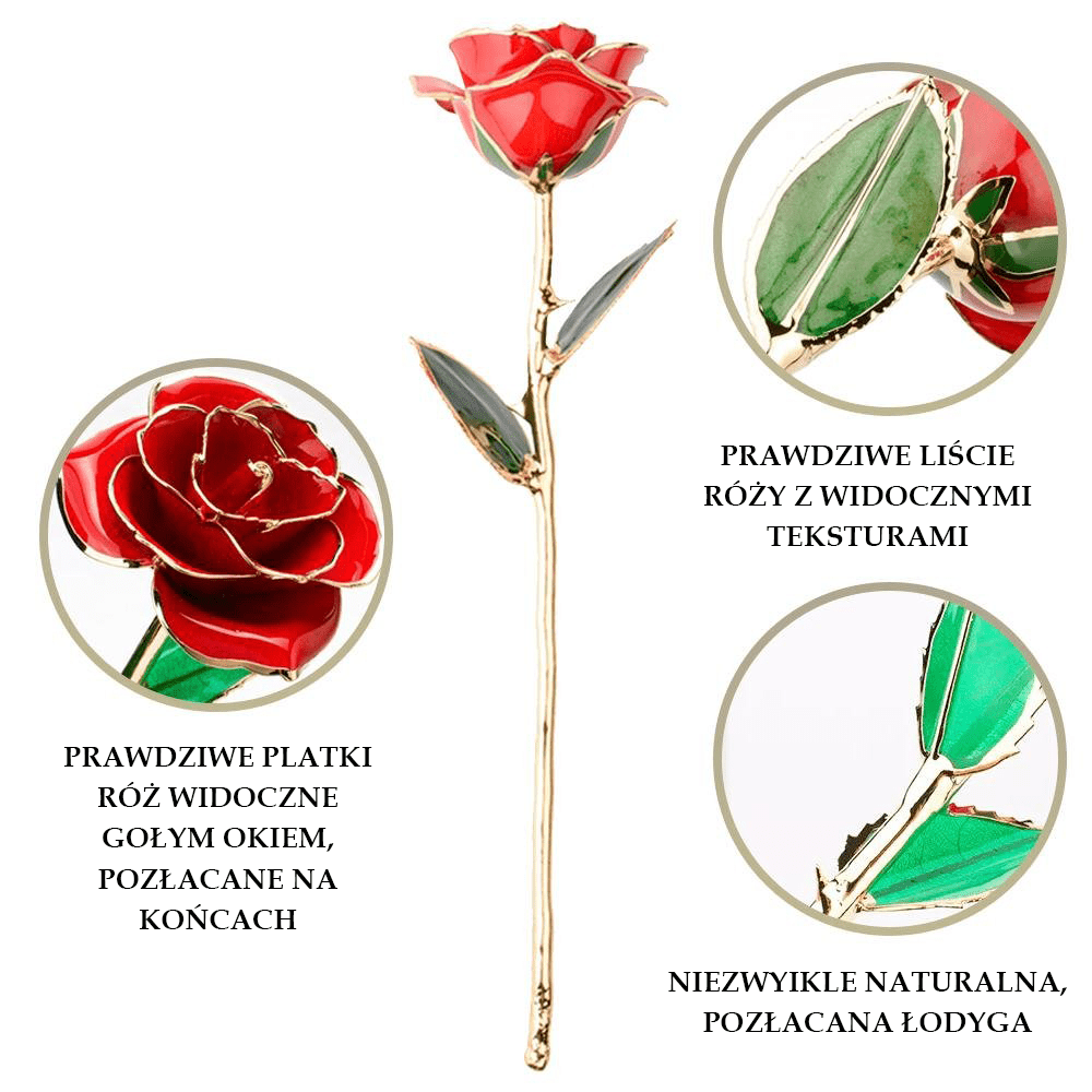 Wieczna Róża, Otulona 24K Złotem, Wymarzony prezent dla żony, teściowej, świadkowej, dla par, na dzień matki, na parapetówkę, na mikołajki, świąteczny - Adamell.pl