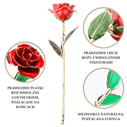 Wieczna Róża, Otulona 24K Złotem, Wymarzony prezent dla żony, teściowej, świadkowej, dla par, na dzień matki, na parapetówkę, na mikołajki, świąteczny - Adamell.pl