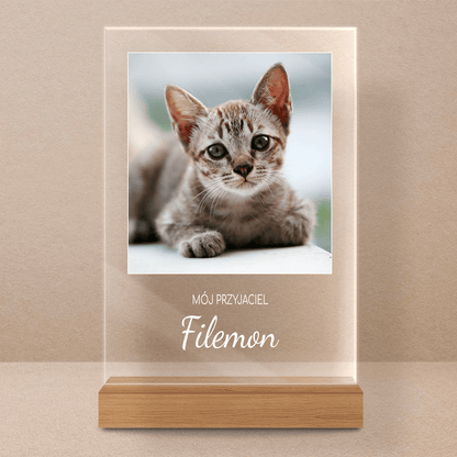Zdjęcie kota + napis - Druk na szkle, spersonalizowany prezent - Adamell.pl