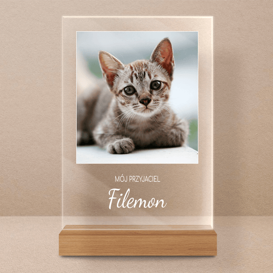 Zdjęcie kota + napis - Druk na szkle, spersonalizowany prezent - Adamell.pl